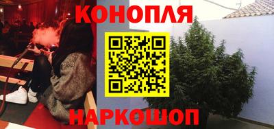 сатива Бузулук