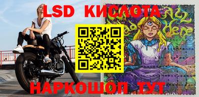сатива Бузулук