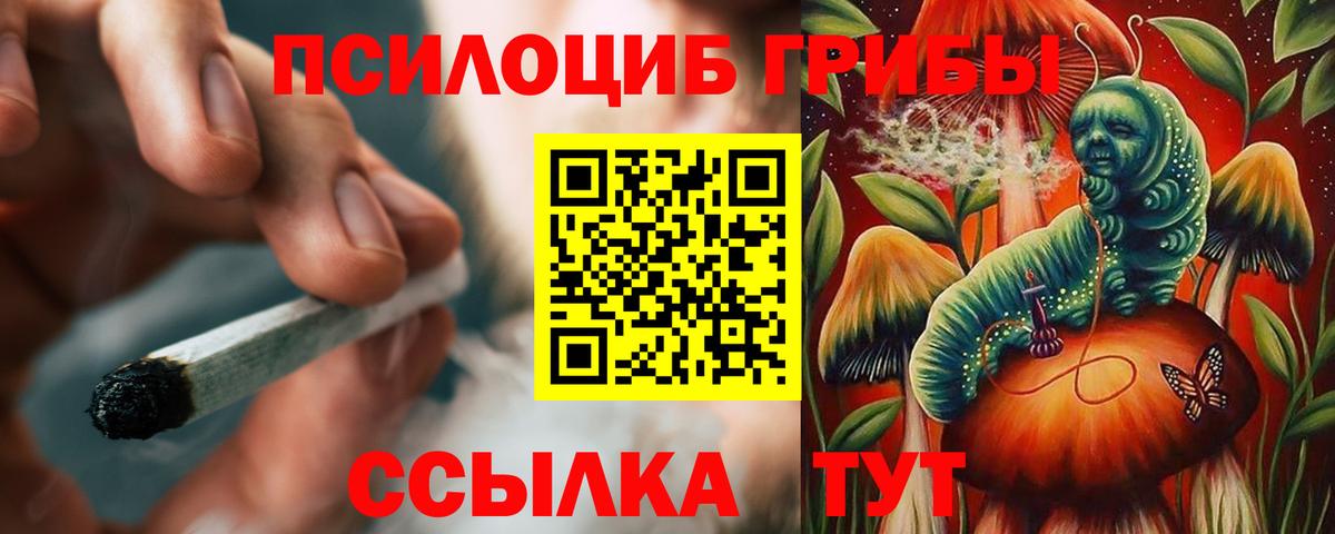 купить наркотики сайты  Галлюциногенные грибы мицелий  Вход с VPN  Энгельс 